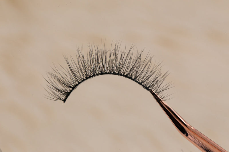 Aspire Silk Lash