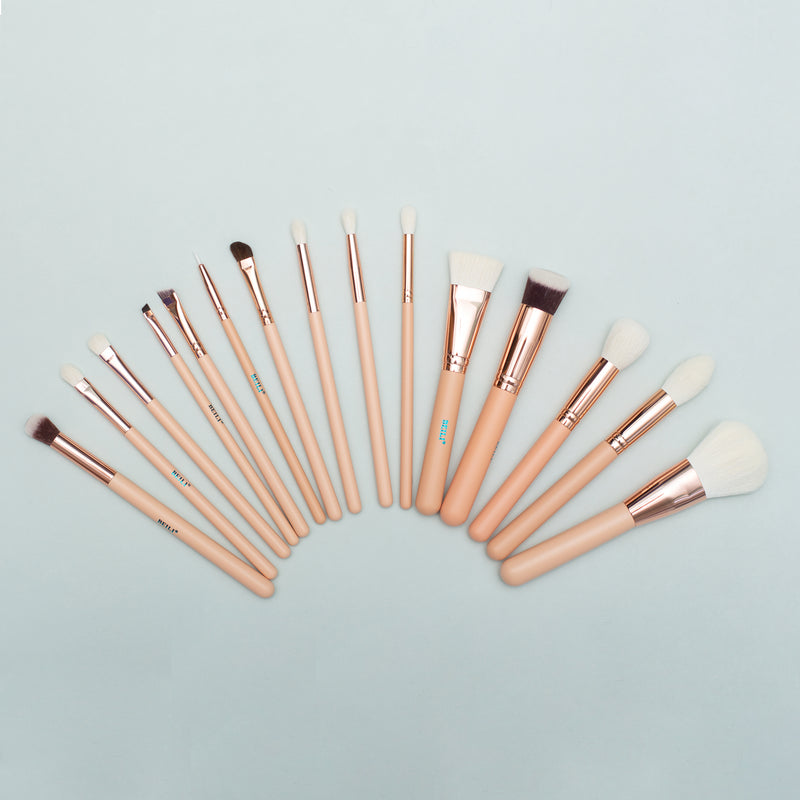 15 Piece professional makeup brush set