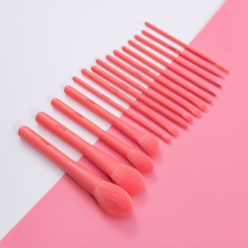 Coral set 15 piece professional makeup brush set